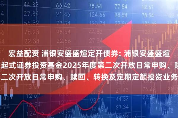 宏益配资 浦银安盛盛煊定开债券: 浦银安盛盛煊3个月定期开放债券型发起式证券投资基金2025年度第二次开放日常申购、赎回、转换及定期定额投资业务的公告