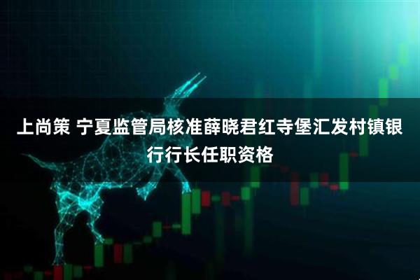 上尚策 宁夏监管局核准薛晓君红寺堡汇发村镇银行行长任职资格