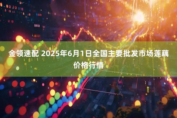 金领速配 2025年6月1日全国主要批发市场莲藕价格行情