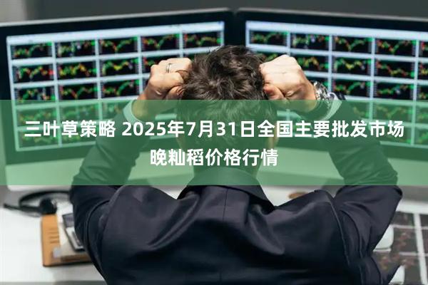 三叶草策略 2025年7月31日全国主要批发市场晚籼稻价格行情