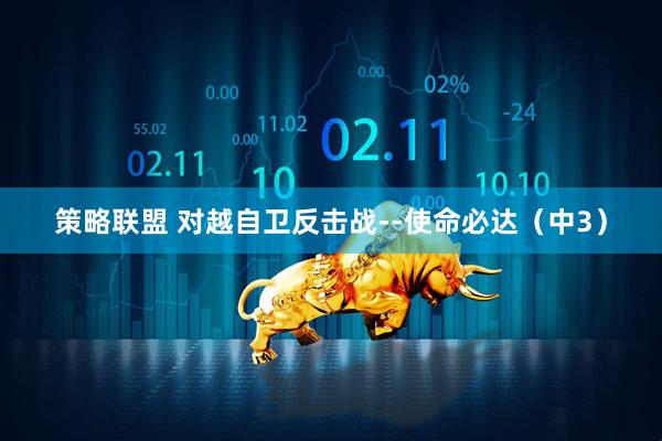 策略联盟 对越自卫反击战--使命必达（中3）