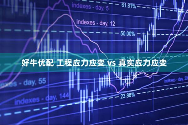 好牛优配 工程应力应变 vs 真实应力应变