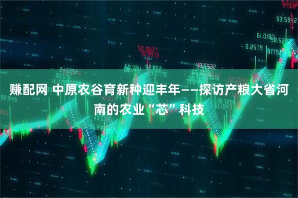 赚配网 中原农谷育新种迎丰年——探访产粮大省河南的农业“芯”科技