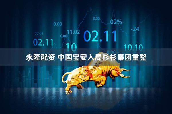 永隆配资 中国宝安入局杉杉集团重整