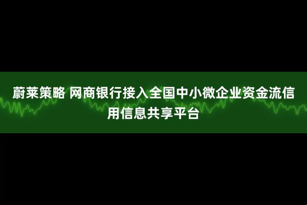 蔚莱策略 网商银行接入全国中小微企业资金流信用信息共享平台